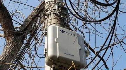 涡阳舆情聚焦 从光缆被剪到天价理发，地方治理与网络民声共振